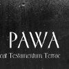 Гурт Pawa запісаў альбом у стылі фолк-дыска