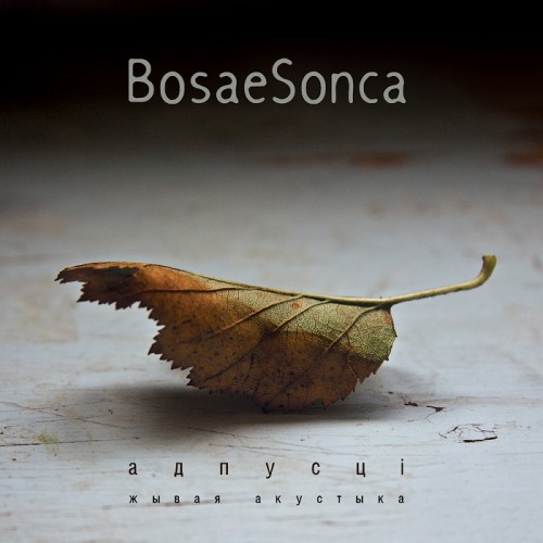 Гурт BosaeSonca запісаў «жывы» альбом са струнным трыа