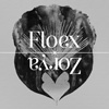 Floex «Zorya»